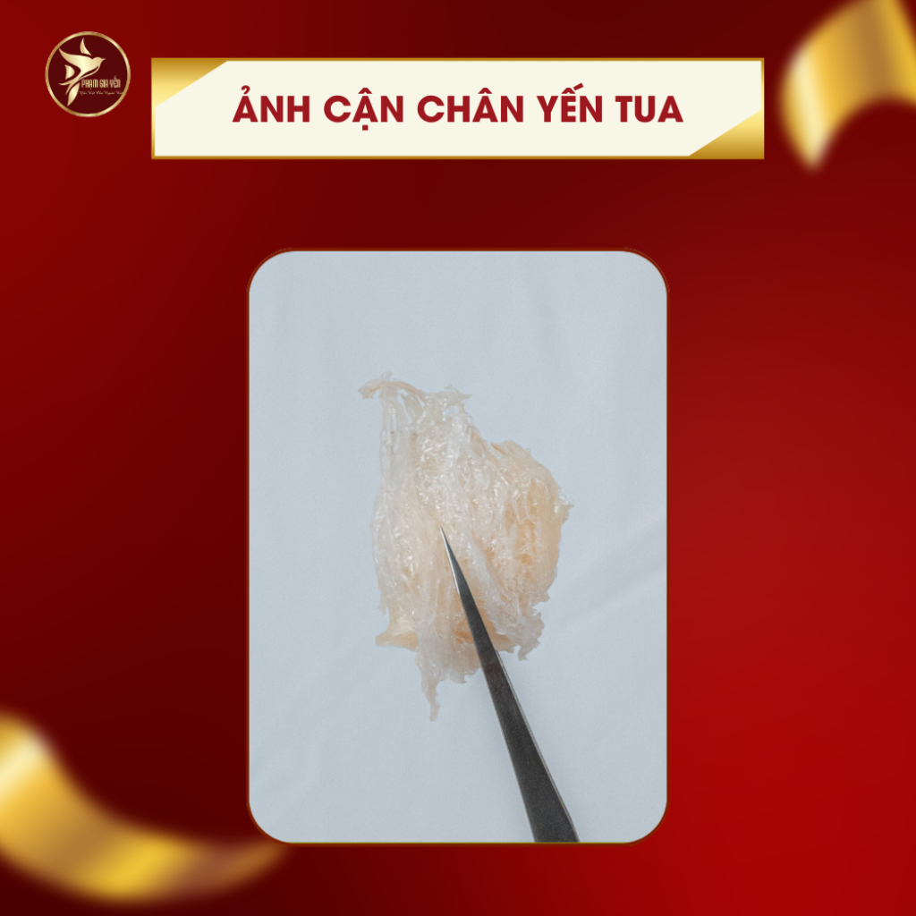 Chân Tổ Yến Cồ Rút Lông Nguyên Chất 100% - Chân Yến To , Già Có Sợi - Yến Sào Phạm Gia