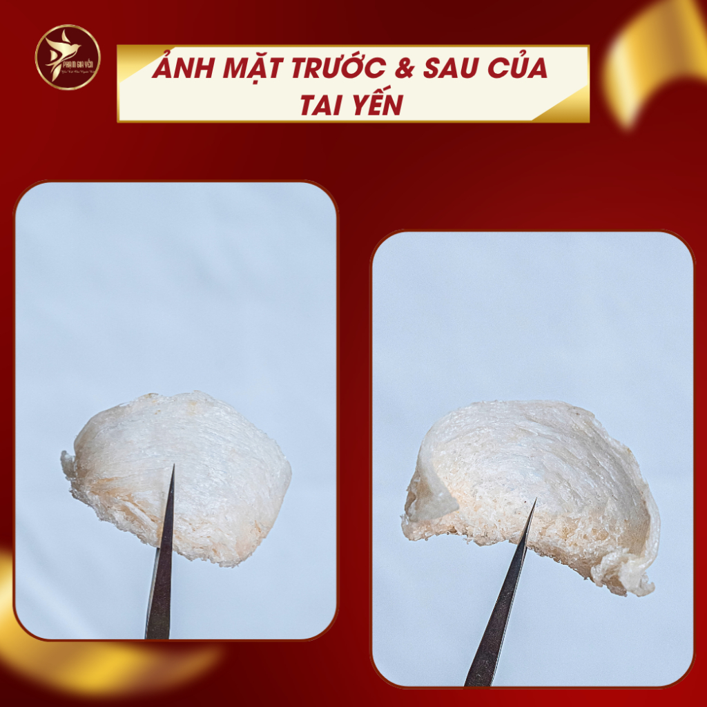 Tổ Yến Rút Lông Khô Cao Cấp ( Hàng Siêu Vip ) - Không Pha Độn - Tẩy Trắng - Yến Sào Phạm Gia