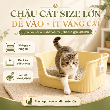 Chậu Cát Vệ Sinh Cao Cấp Cho Mèo, Chậu Cát Cho Mèo Dễ Dàng Vệ Sinh, Tiện Lợi, Giá Tốt Nhất