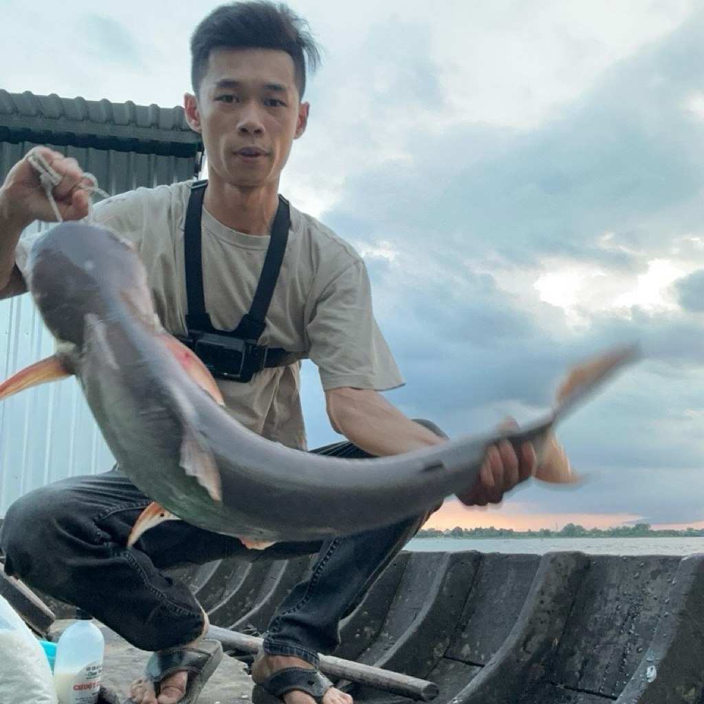 Mồi câu cá Cốt Chua Thơm ( chai 1 lít ) "Chuột Chứ Ai" chuyên cá Vồ Đém , Tra , Basa, Cóc và một số loại cá khác