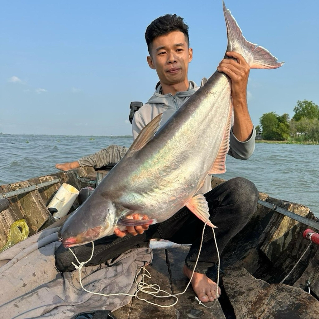 3kg Cám Câu Cá Tổng Hợp - CHUỘT CHỨ AI
