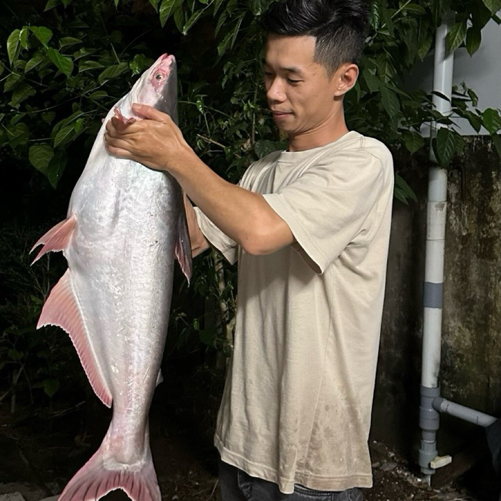 1kg Cám Câu Cá Tổng Hợp - CHUỘT CHỨ AI