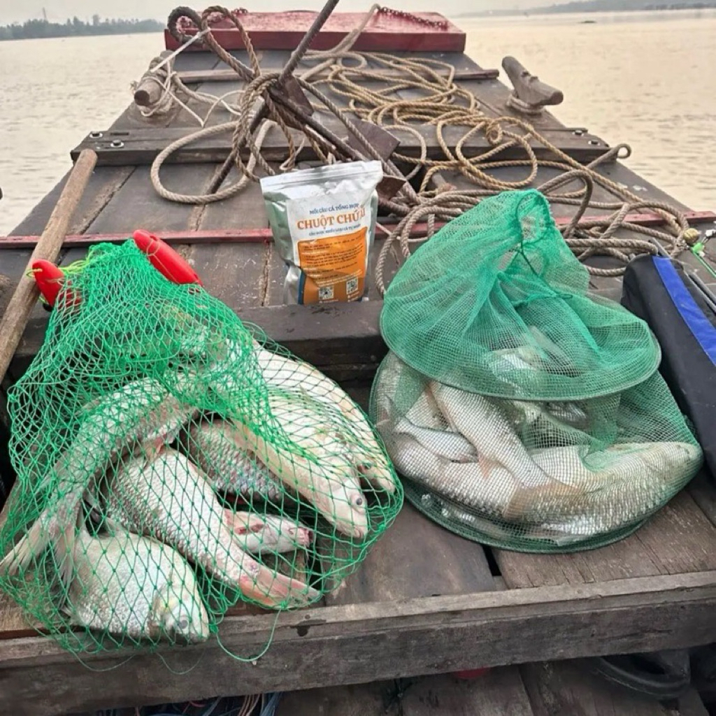1kg Cám Câu Cá Tổng Hợp - CHUỘT CHỨ AI