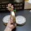 kẽm hàn cell pin đơn,đôi cell 18650,21700,32140 có mạ lớp chống xỉ