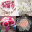 Voan Ngọc Gói Hoa Kt 28cm X 4y, Voan Sóng Viền Sóng Dùng Bó Hoa, Trang Trí Bánh Kem DUHA 090
