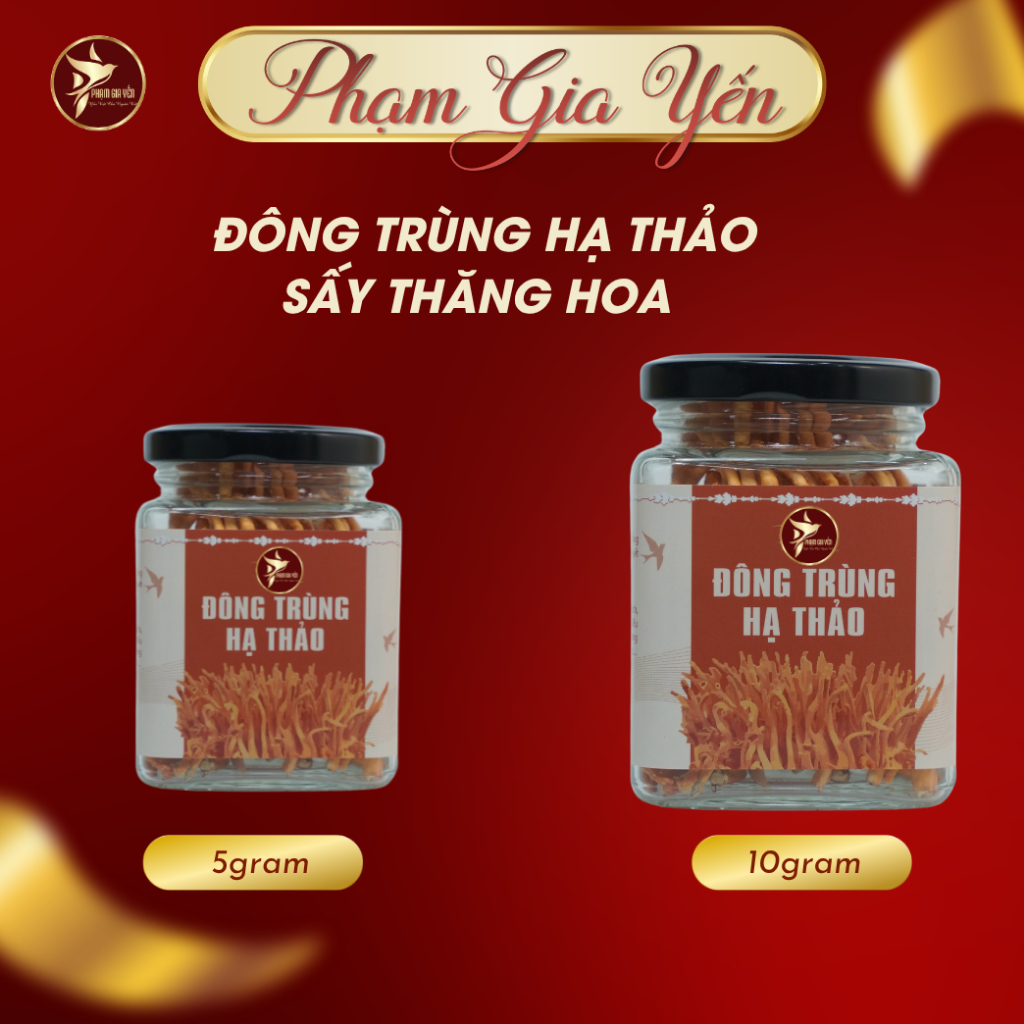 Hũ 5 Gram Đông Trùng Hạ Thảo Loại 1 Sấy Thăng Hoa  - Yến Sào Phạm Gia
