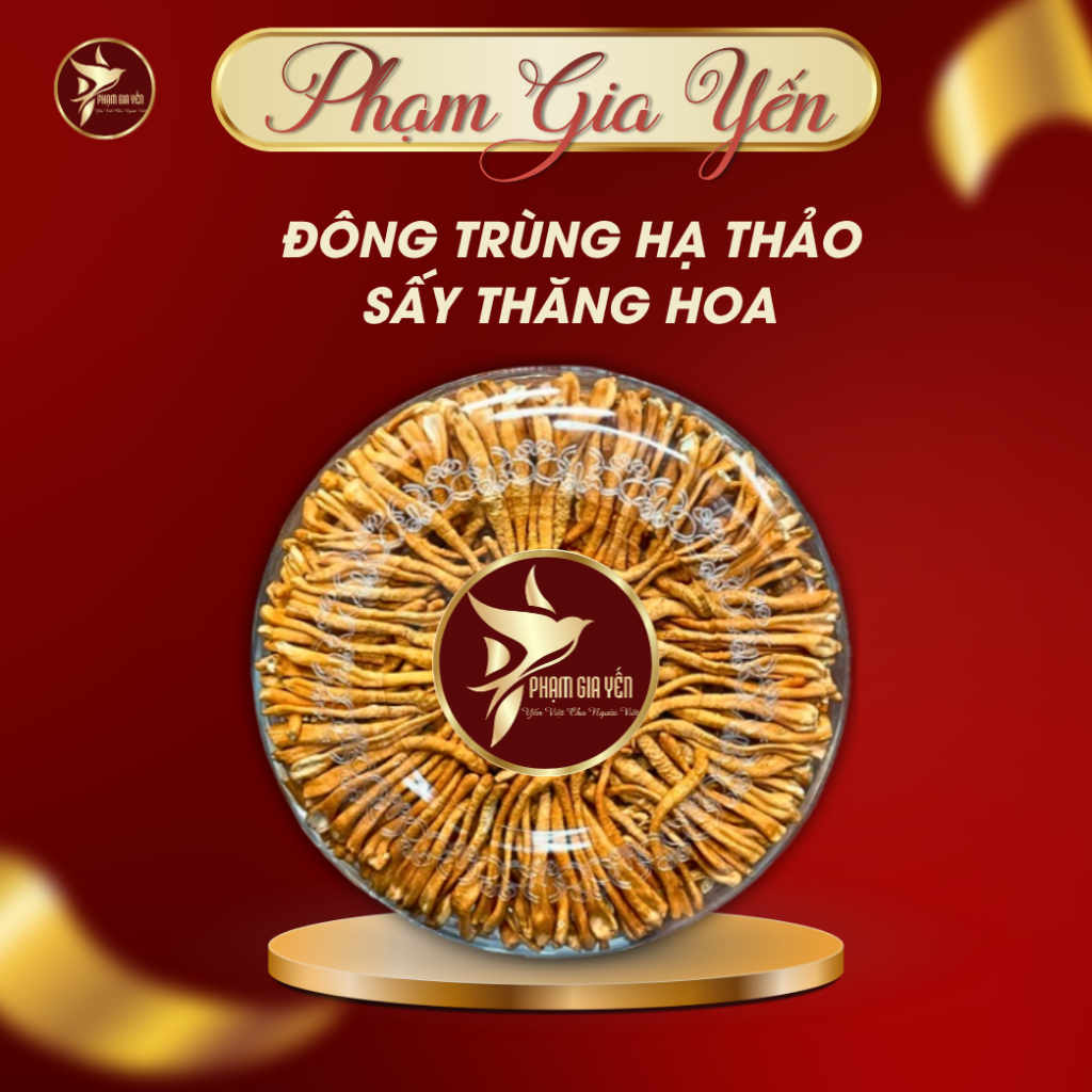 Đông Trùng Hạ Thảo Loại 1 Sấy Thăng Hoa ( 50 -100 gram ) - Yến Sào Phạm Gia