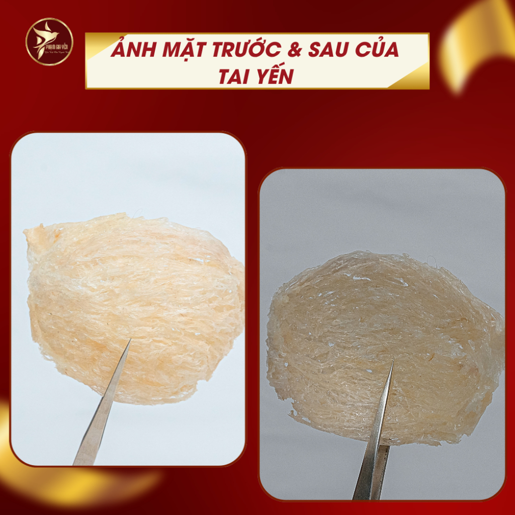 Tổ Yến Rút Lông Xương 100% Sợi Nguyên Chất ( Dòng Yến Vip ) - Không Pha Tạp Chất  - Yến Sào Phạm Gia