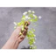 Set 100g Cỏ Điểm Bi Nở Lá Hồng Lá Táo Hoa Giả Làm Hoa Trang Trí Handmade Diy DUHA 101