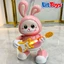 Bộ Thỏ Cầm Đàn Nhảy Múa ToysLit, Đồ Chơi Vui Nhộn Có Đèn Led Và Nhạc Giúp Bé Giải Trí