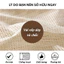Tấm Lót Cố Định TORO Bằng Silicon Chống Trơn Trượt, Cắt Chỉnh Tùy Ý Dùng Cho Trải Sàn, Sofa, Ga Đệm