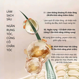 Dầu gội giảm gãy rụng tóc, hỗ trợ mọc tóc, sạch gàu ngứa Gừng Hà Thủ Ô - ĐỒNG NHÂN ĐƯỜNG 500ml