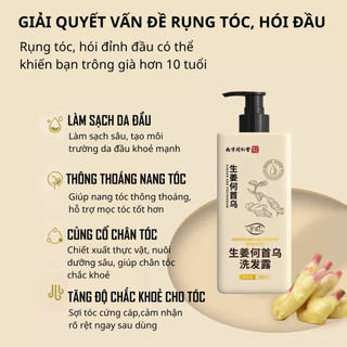 Dầu gội giảm gãy rụng tóc, hỗ trợ mọc tóc, sạch gàu ngứa Gừng Hà Thủ Ô - ĐỒNG NHÂN ĐƯỜNG 500ml