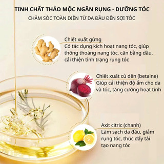 Dầu gội giảm gãy rụng tóc, hỗ trợ mọc tóc, sạch gàu ngứa Gừng Hà Thủ Ô - ĐỒNG NHÂN ĐƯỜNG 500ml