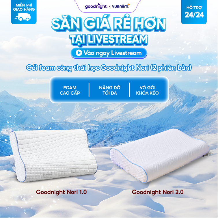 Gối Foam Goodnight Nori Gối Công Thái Học 30*60cm Lượn Sóng Nâng Đỡ, Vua Nệm