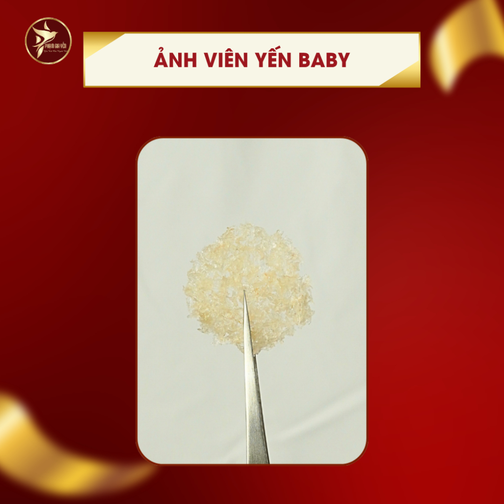 Combo 10 Túi Yến Vụn Baby Nguyên Chất 100% Kèm Phụ Gia Và 2 Hũ Thuỷ TInh  - Yến Sào Phạm Gia