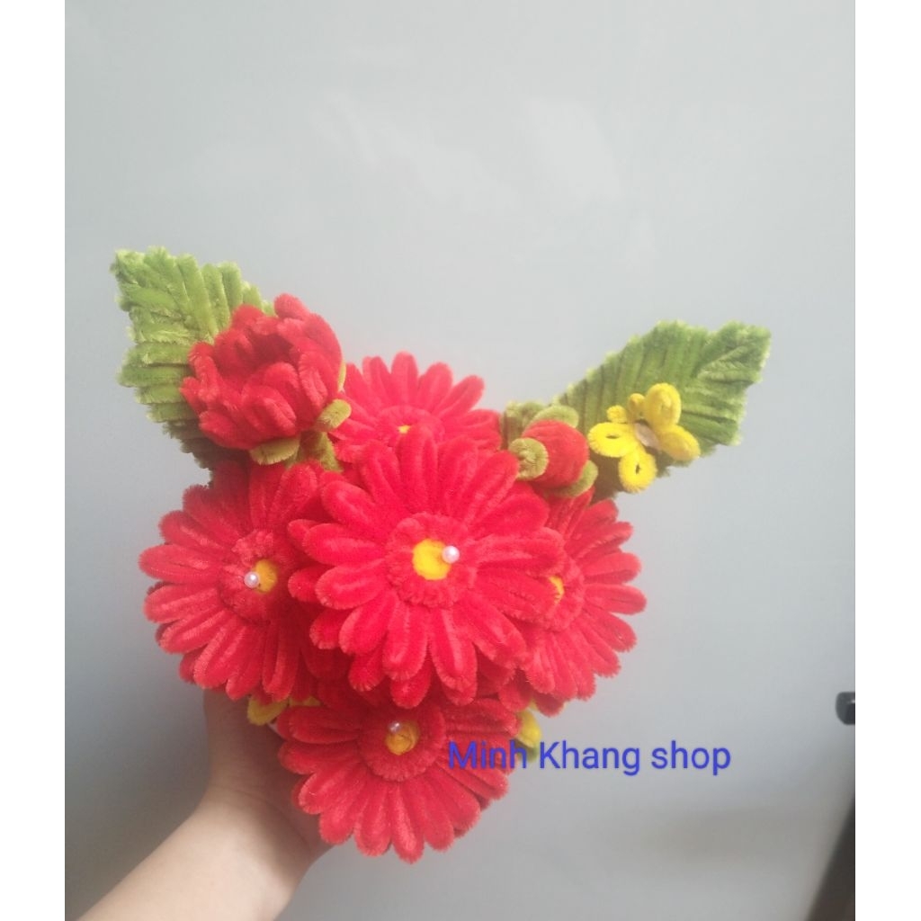 Chậu Hoa Đồng Tiền Kẽm Nhung, chậu hoa mini, chậu hoa để bàn, trang trí nhà cửa phòng làm việc, quà tặng ý nghĩa
