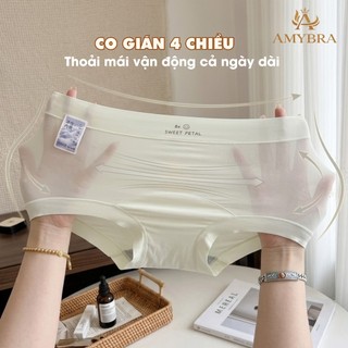 Hộp 5 Quần Boxer Nữ Chất Su Mềm Mịn Không Lộ Viền - Quần Bảo Hộ Dáng Đùi Cạp Cao Ôm Dáng AMYBRA L5422