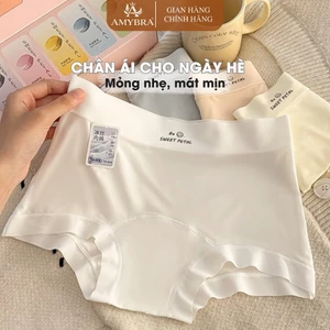 Hộp quà 5 quần lót boxer nữ chất su lụa màu pastel, Quần chip nữ cạp cao đáy cotton AMYBRA L5422