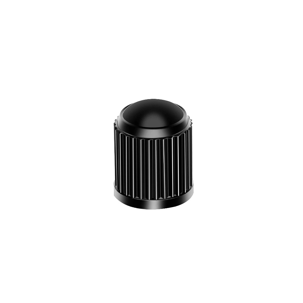 Set 10 Nắp Van Lốp Bánh Xe Màu Đen Futuris Store – Nắp Đậy Van Xe Hơi, Xe Máy, Xe Đạp Chống Bụi Tiện Lợi