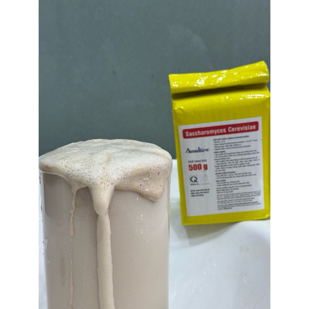 SACCHAROMYCES Nấm Men Ngừa Phân Trắng - Nấm Đồng Tiền
