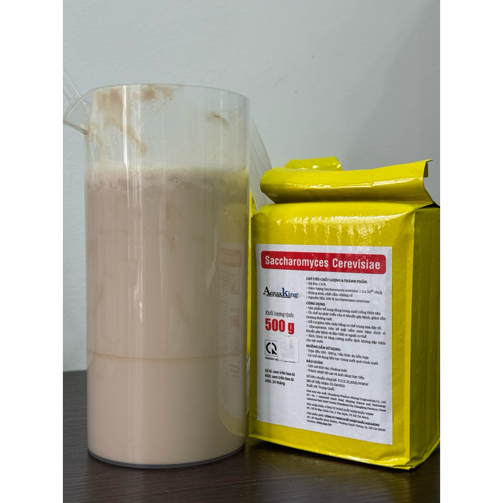 SACCHAROMYCES Nấm Men Ngừa Phân Trắng - Nấm Đồng Tiền