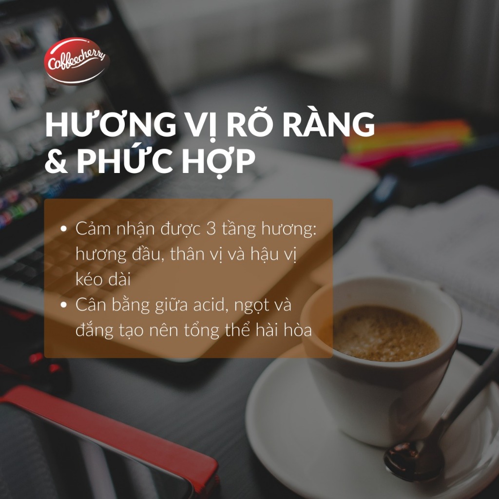 Cà Phê Đặc Sản Fine Robusta - specialty coffee rang mộc 100% đậm đà hậu ngọt, Pha Phin, Pha Máy