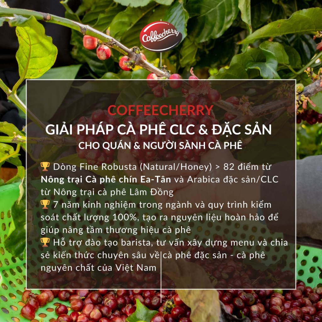 Cà Phê Đặc Sản Fine Robusta - specialty coffee rang mộc 100% đậm đà hậu ngọt, Pha Phin, Pha Máy