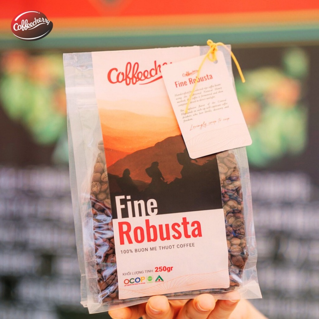 Cà Phê Đặc Sản Fine Robusta - specialty coffee rang mộc 100% đậm đà hậu ngọt, Pha Phin, Pha Máy