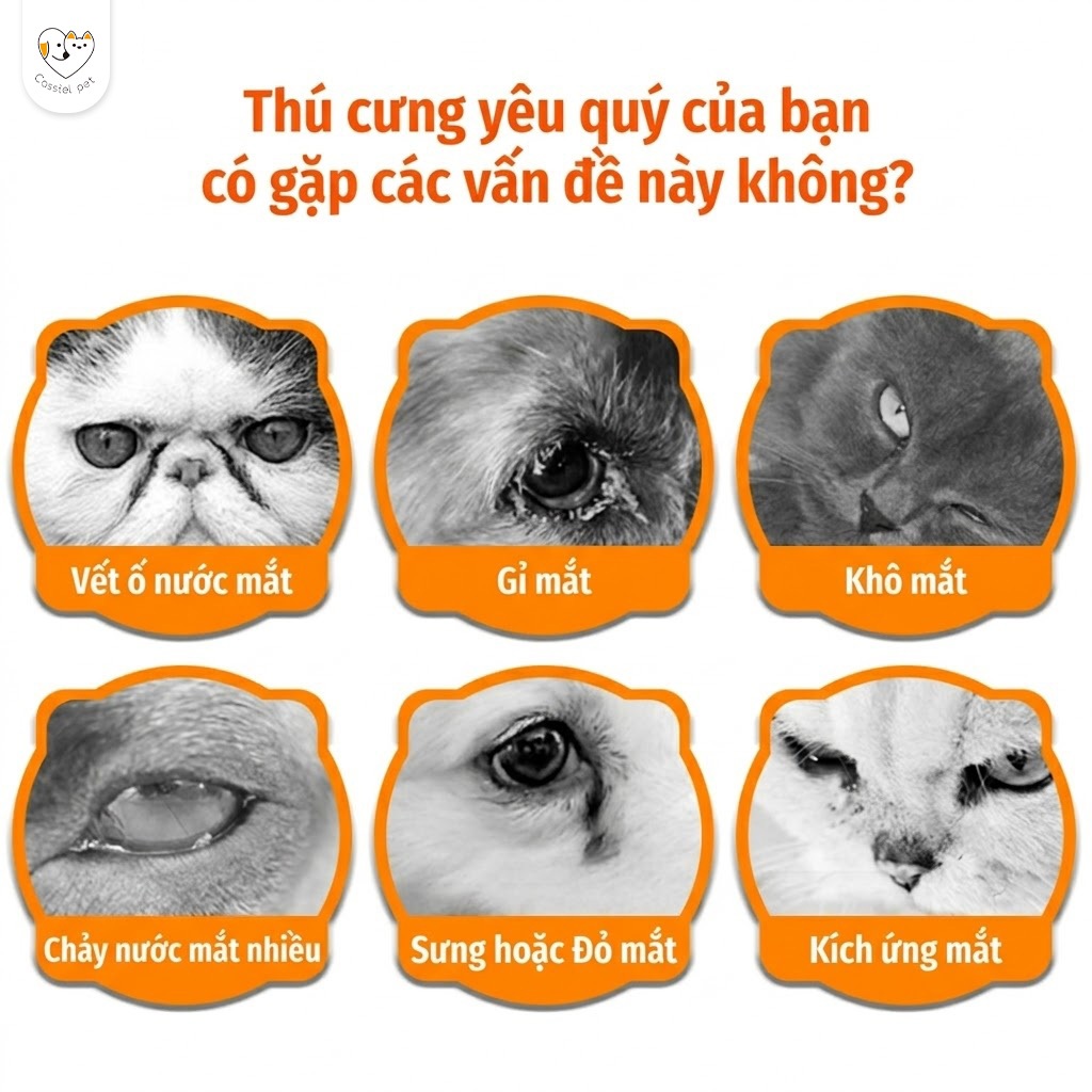 Cassiel Pet Khăn Uớt Chuyên Dụng Dể Làm Sạch Mắt Ráy Tai Và Vết ố Nước Mắt Cho Chó Mèo An Toàn Và Không Gây Kích Ung