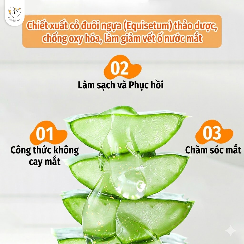 Cassiel Pet Khăn Uớt Chuyên Dụng Dể Làm Sạch Mắt Ráy Tai Và Vết ố Nước Mắt Cho Chó Mèo An Toàn Và Không Gây Kích Ung
