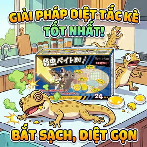 100 năm không có thằn lằn Bả diệt thằn lằn bả diệt thằn lằn Thuốc diệt tắc kè Giết tắc kè An toàn cho người và thú cưng