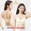 Combo Áo Ngực Su Không Gọng Tàng Hình, Set Áo Lót Nữ Gom Ngực Chống Xệ AMYBRA A01