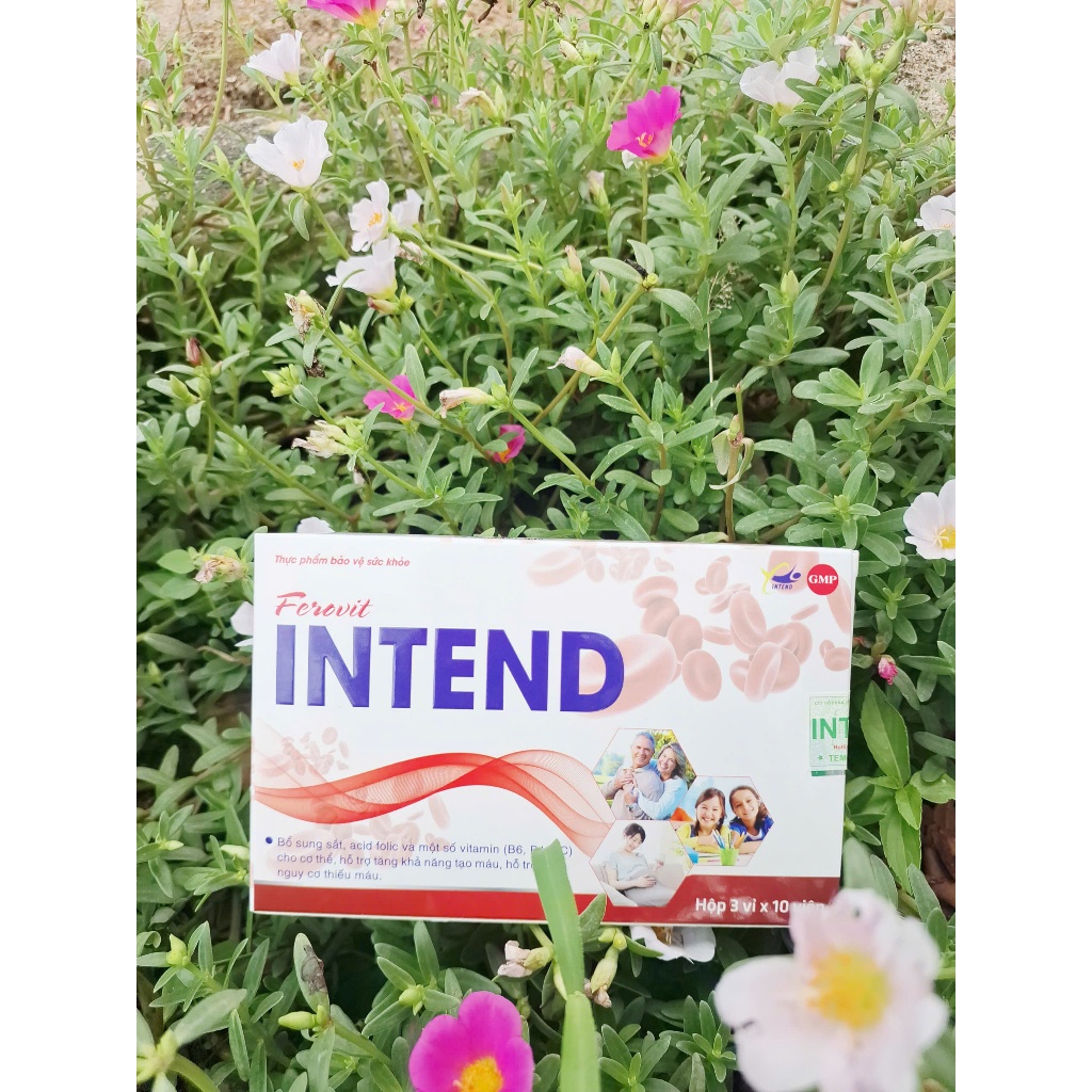 Ferovit Intend - Viên Uống Bổ Sung Sắt Cho Người Thiếu Máu Do Thiếu Sắt Chỉ 1 Viên Mỗi Ngày (Hộp 30 Viên)