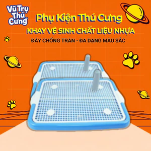 Khay vệ sinh cho Chó size 40x50cm, chất liệu nhựa siêu bền, nắp khóa chắc chắn