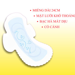 Băng vệ sinh ICOOL Xanh Siêu Thấm 10 miếng 3 in1 BVS Mặt Lưới Mát Dịu, Có Cánh, Khử Mùi, Kháng Khuẩn