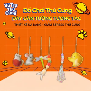 Đồ chơi đuổi bắt cho Mèo tự chơi, dây gắn tường tương tác vui nhộn