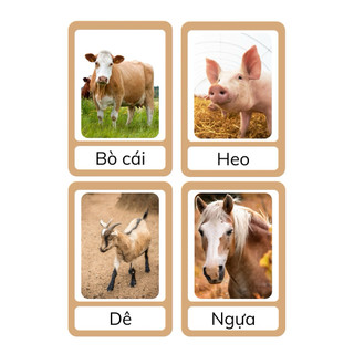 Flashcard Động Vật Cho Bé 2–6 Tuổi – Thẻ Học Montessori Phát Triển Tư Duy