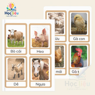 Flashcard Động Vật Cho Bé 2–6 Tuổi – Thẻ Học Montessori Phát Triển Tư Duy