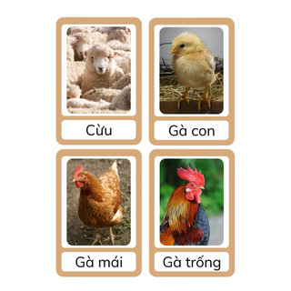 Flashcard Động Vật Cho Bé 2–6 Tuổi – Thẻ Học Montessori Phát Triển Tư Duy