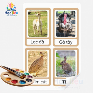 Flashcard Động Vật Cho Bé 2–6 Tuổi – Thẻ Học Montessori Phát Triển Tư Duy