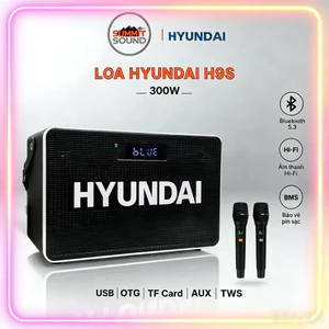 Loa HYUNDAI Loa Karaoke Xách Tay H9S, Công Suất Lớn 300W Kèm 2 Micro