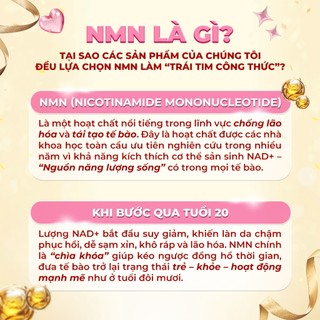Combo khăn ướt tẩy trang + mặt nạ NMN Meso Kousa