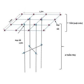 (Phi 11) Giàn Trồng Cây Leo Chữ T Lắp Ghép Thông Minh Chất Liệu Lõi Thép Bọc Nhựa  Fi 11 Dùng Trên 3 Năm Ngoài Trời