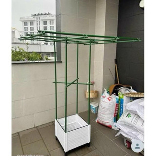 (Phi 11) Giàn Trồng Cây Leo Chữ T Lắp Ghép Thông Minh Chất Liệu Lõi Thép Bọc Nhựa  Fi 11 Dùng Trên 3 Năm Ngoài Trời
