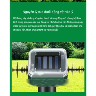 Cọc Siêu Âm Đuổi Chuột Chũi Năng Lượng Mặt Trời -  Thiết Bị Chống Chuột Phá Vườn Chống Nước ABS