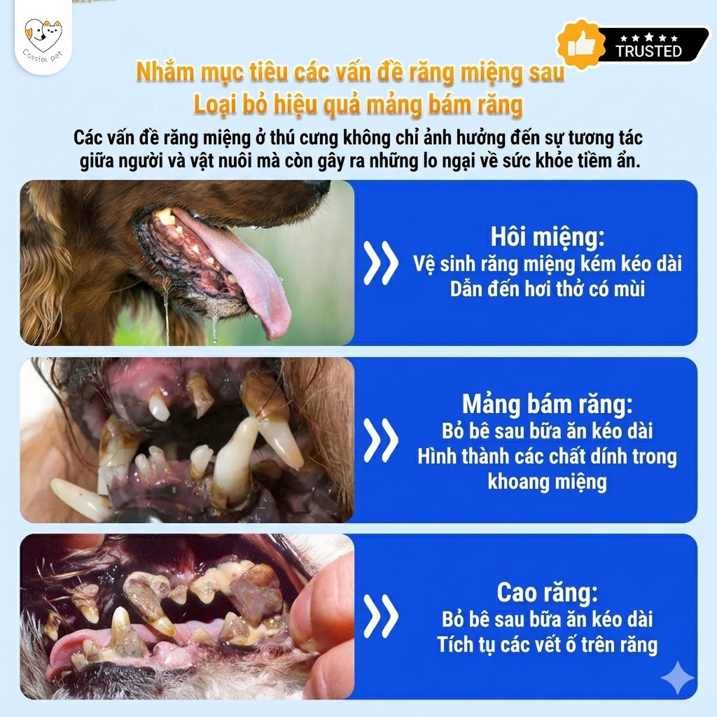 Cassiel Pet Cho Mèo Chó Khăn Uớt Lau Răng 50 Miếng Mắt Tai Thú Cưng Sạch Răng Chăm Sóc Miệng Loại Bỏ Cao Răng Mảng Bám