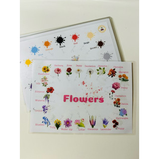 Sơ đồ mindmap 35 file chủ đề xoay quanh cuộc sống giúp bé học từ vựng thật dễ, có file nghe file thuyết trình TA