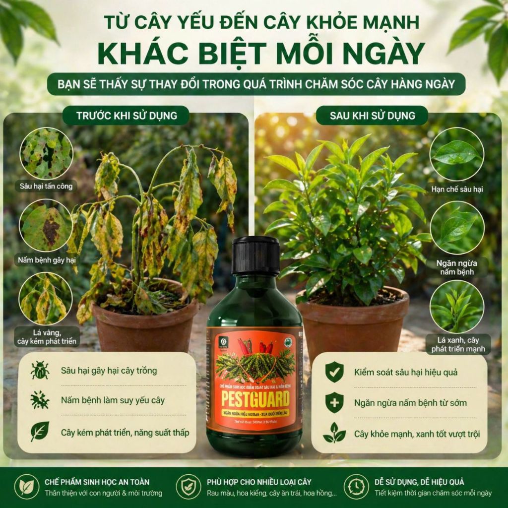 Phòng Rệp Sáp Bọ Trĩ Nhện Đỏ & Ngừa Nấm | 100% Hữu Cơ Chiết Xuất Gừng Tỏi Ớt | Rau, Phong Lan, Hoa Hồng | SUNLEAF