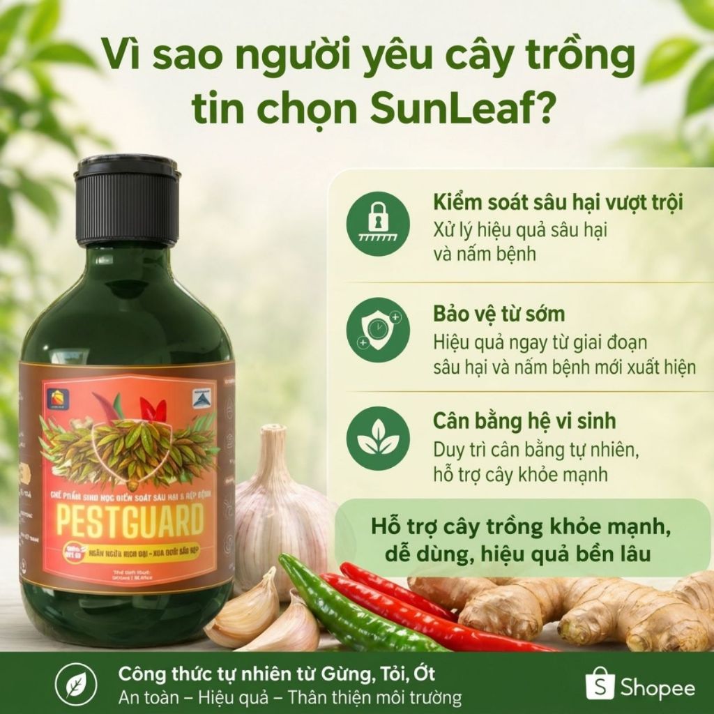 Phòng Rệp Sáp Bọ Trĩ Nhện Đỏ & Ngừa Nấm | 100% Hữu Cơ Chiết Xuất Gừng Tỏi Ớt | Rau, Phong Lan, Hoa Hồng | SUNLEAF